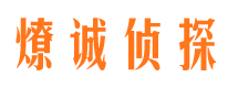 大方背景调查